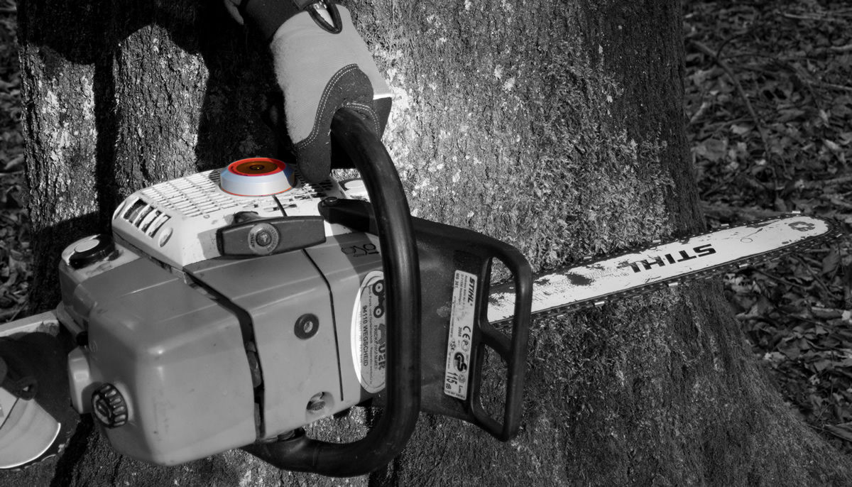 Mit der Forstlibelle gelingt der Fallschnitt perfekt waagrecht